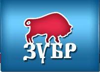 Логотип Всеукраинского движения "ЗУБР"
